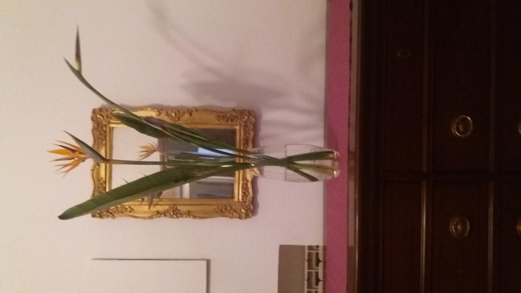 Il Marchese Del Grillo Gasthof *